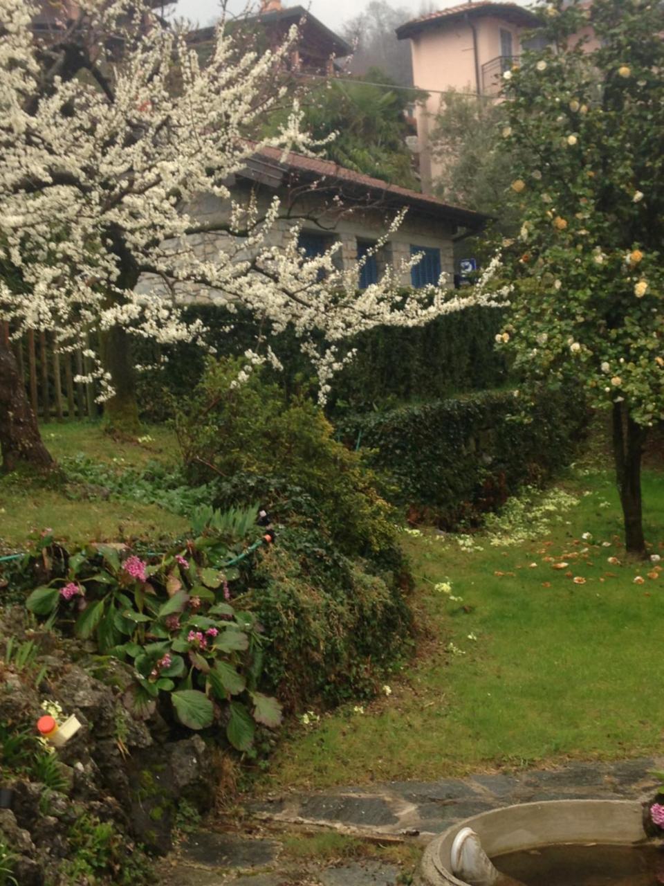 Villa Maria Lago Maggiore Reno Di Leggiuno ภายนอก รูปภาพ